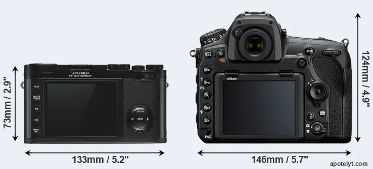 Comparison X Typ 113 or D850 rear