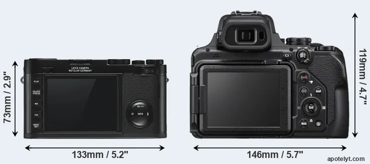 Comparison X Typ 113 or P1000 rear
