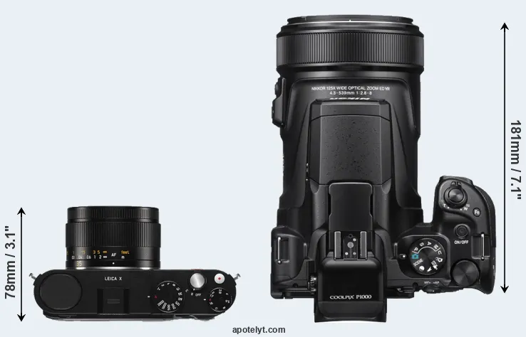 Compare X Typ 113 versus P1000 top