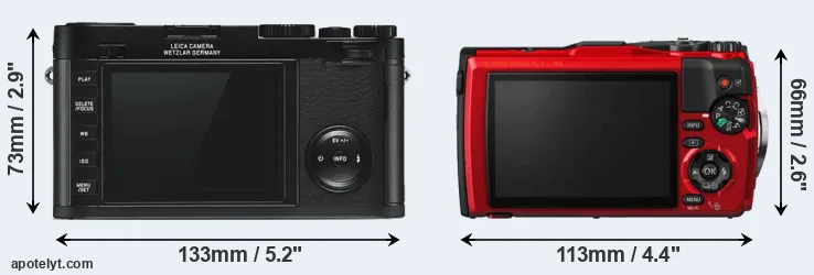 Comparison X Typ 113 or TG-5 rear