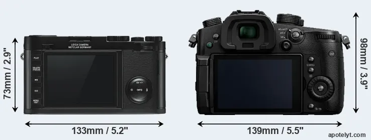 Comparison X Typ 113 or GH5 rear