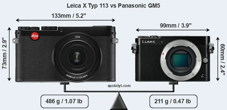 Size Leica X Typ 113 vs Panasonic GM5