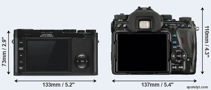 Comparison X Typ 113 or K-1 rear