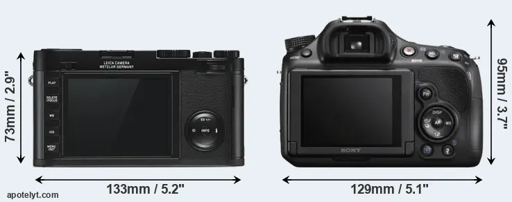 Comparison X Typ 113 or A58 rear