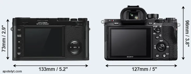 Comparison X Typ 113 or A7R II rear