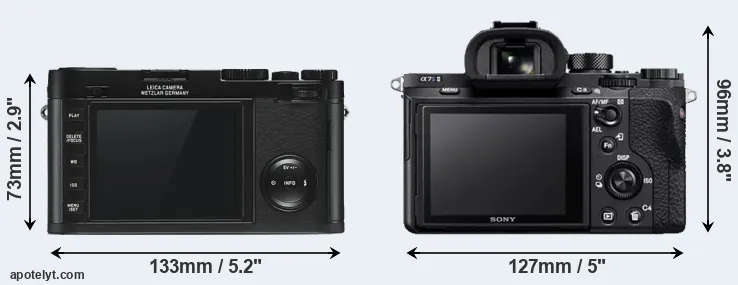 Comparison X Typ 113 or A7S II rear