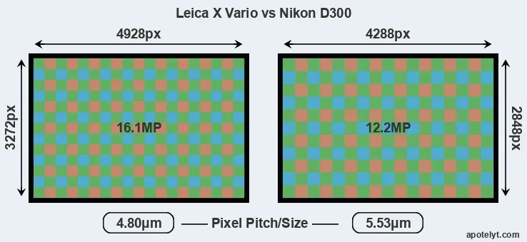 X Vario versus D300 MP