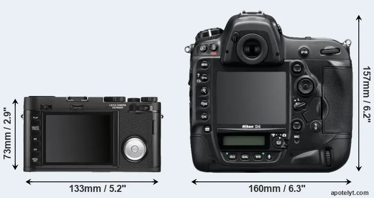 Comparison X Vario or D4 rear