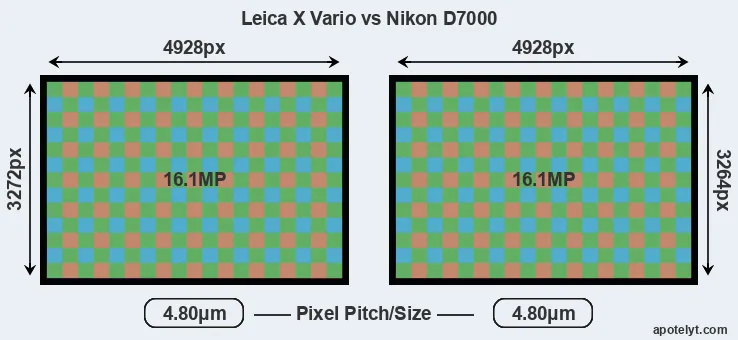 X Vario versus D7000 MP