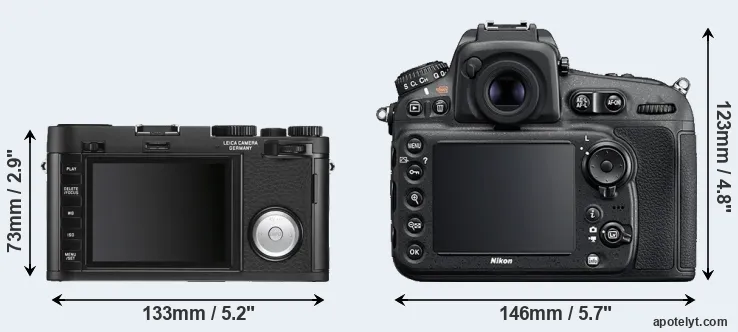 Comparison X Vario or D810 rear