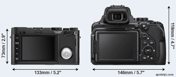 Comparison X Vario or P1000 rear