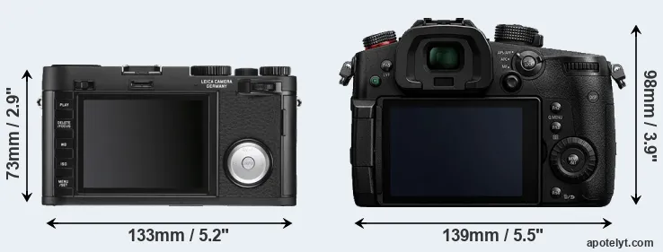 Comparison X Vario or GH5s rear