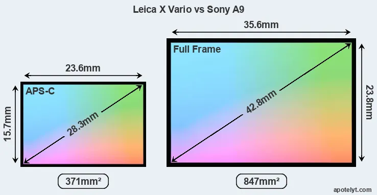 Leica X Vario and Sony A9 sensor measures