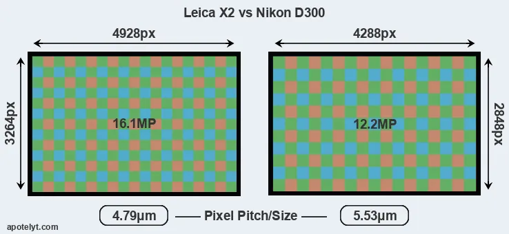X2 versus D300 MP