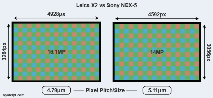 X2 versus NEX-5 MP