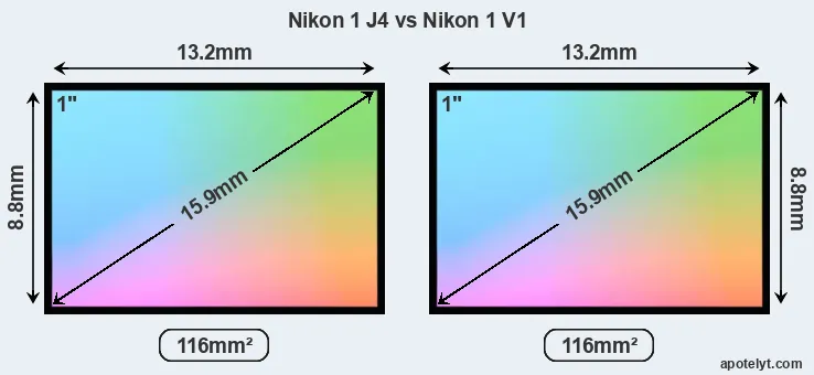 Nikon 1 J4 and Nikon 1 V1 sensor measures