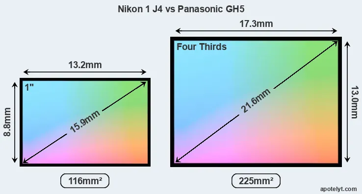 Nikon 1 J4 and Panasonic GH5 sensor measures