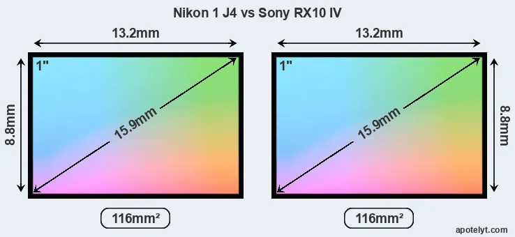 Nikon 1 J4 and Sony RX10 IV sensor measures