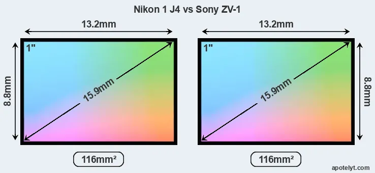 Nikon 1 J4 and Sony ZV-1 sensor measures