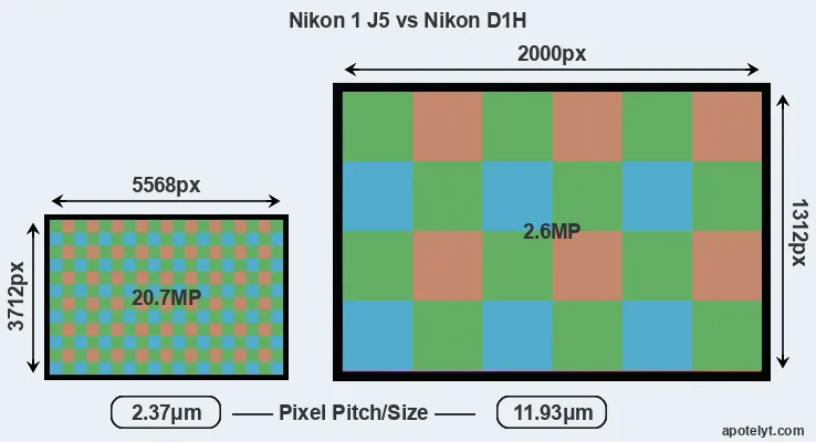 J5 versus D1H MP