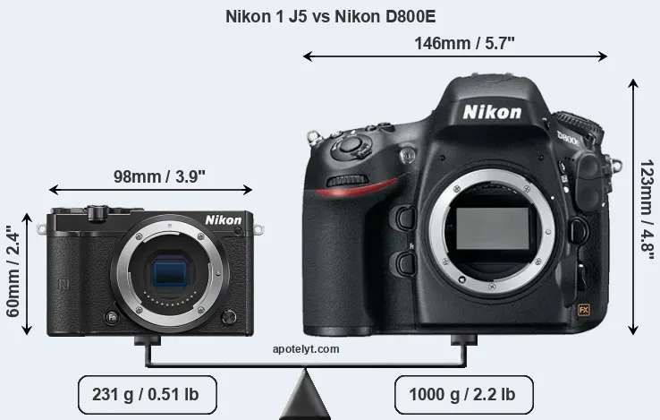 Size Nikon 1 J5 vs Nikon D800E