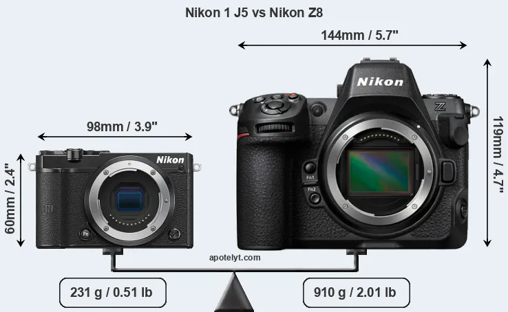 Size Nikon 1 J5 vs Nikon Z8