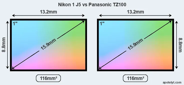 Nikon 1 J5 and Panasonic TZ100 sensor measures