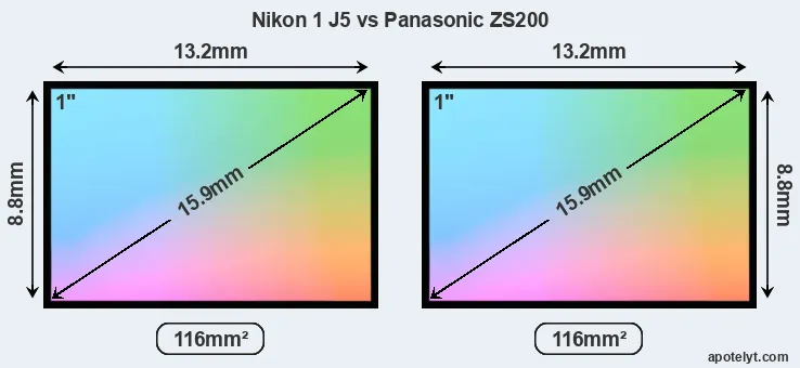 Nikon 1 J5 and Panasonic ZS200 sensor measures