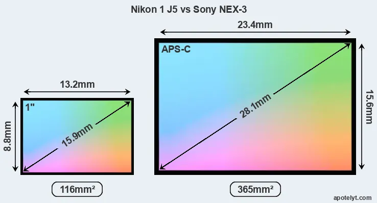 Nikon 1 J5 and Sony NEX-3 sensor measures
