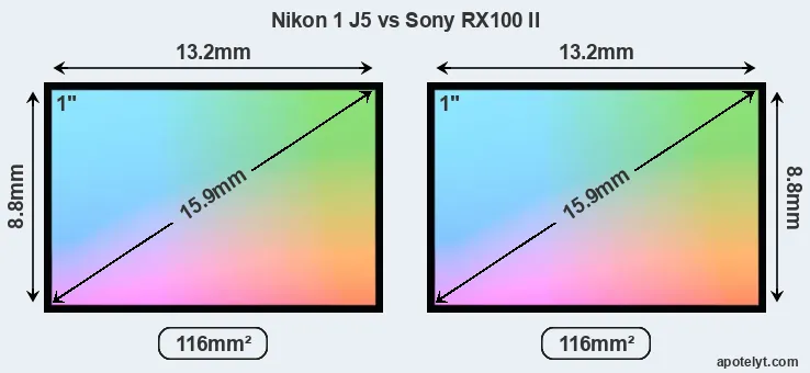 Nikon 1 J5 and Sony RX100 II sensor measures