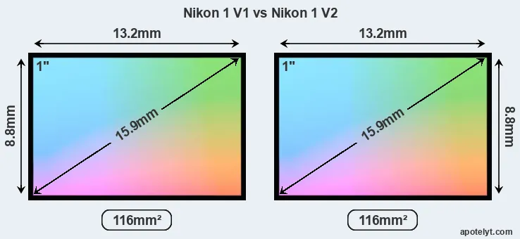Nikon 1 V1 and Nikon 1 V2 sensor measures