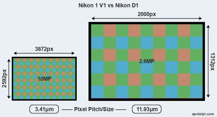 V1 versus D1 MP