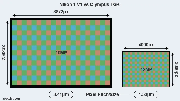 V1 versus TG-6 MP