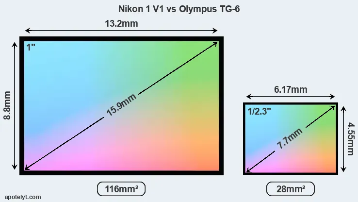 Nikon 1 V1 and Olympus TG-6 sensor measures