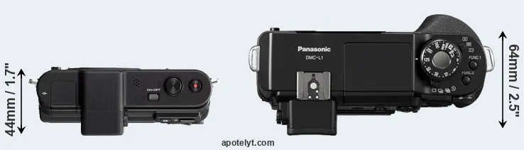 Compare V1 versus L1 top