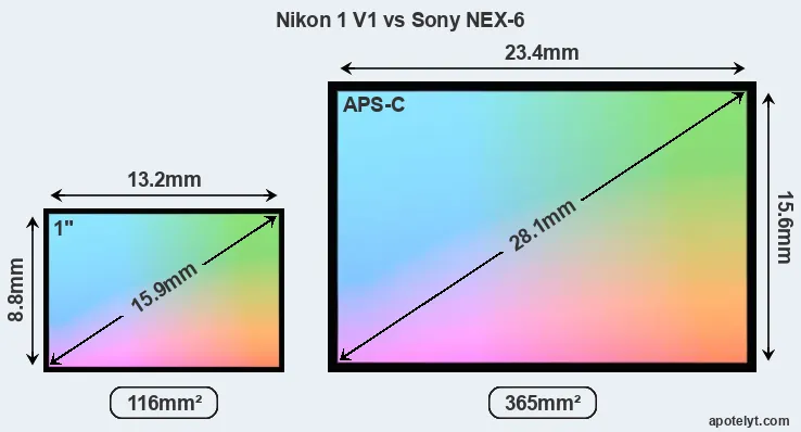 Nikon 1 V1 and Sony NEX-6 sensor measures