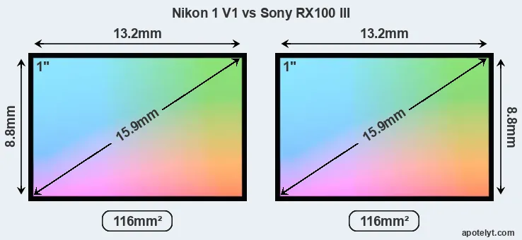 Nikon 1 V1 and Sony RX100 III sensor measures