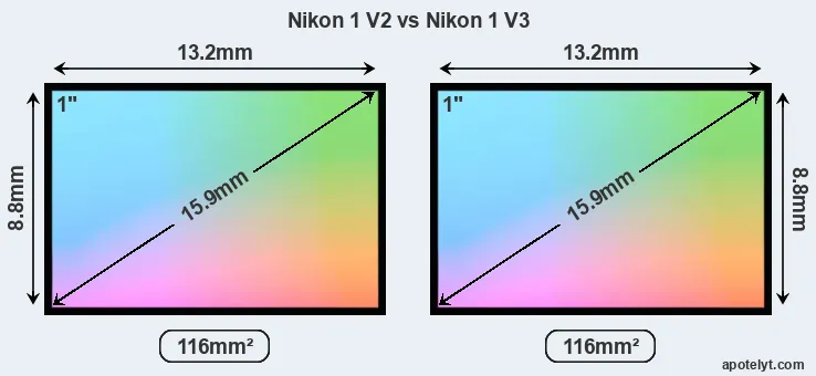 Nikon 1 V2 and Nikon 1 V3 sensor measures