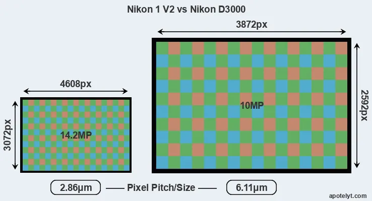 V2 versus D3000 MP