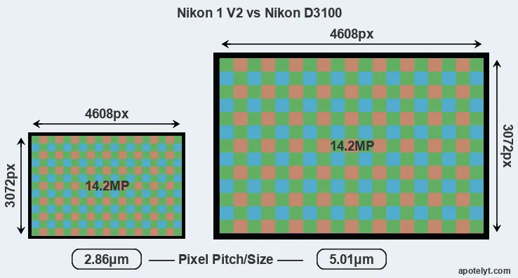 V2 versus D3100 MP