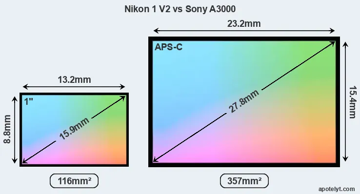 Nikon 1 V2 and Sony A3000 sensor measures