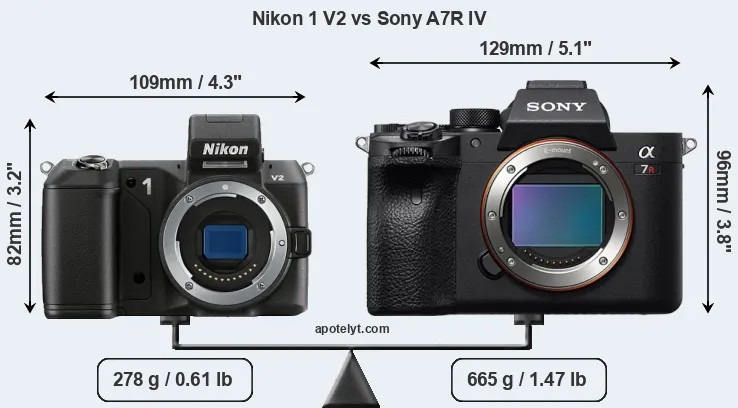 Size Nikon 1 V2 vs Sony A7R IV