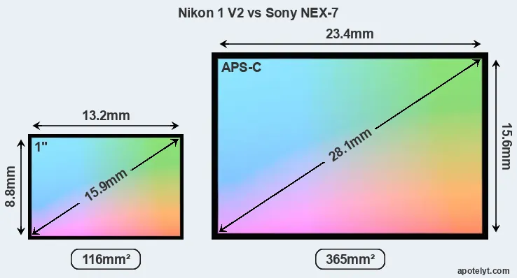 Nikon 1 V2 and Sony NEX-7 sensor measures