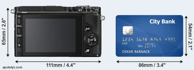 V3 and credit card rear side
