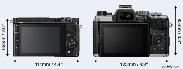 Comparison V3 or OM-5 rear