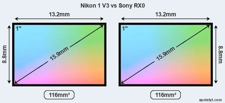 Nikon 1 V3 and Sony RX0 sensor measures