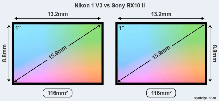Nikon 1 V3 and Sony RX10 II sensor measures