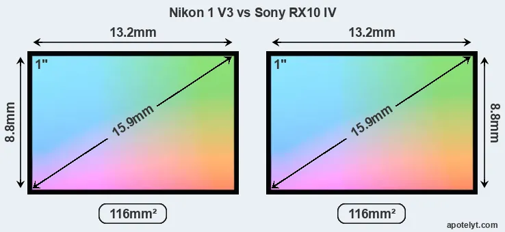 Nikon 1 V3 and Sony RX10 IV sensor measures
