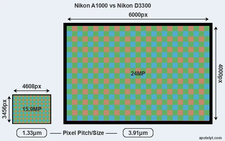 A1000 versus D3300 MP