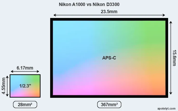 Nikon A1000 and Nikon D3300 sensor measures